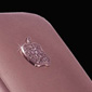 L’iPhone Joaillerie Version Or et Diamants