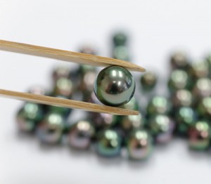 Paire De Perles Noires De Tahiti Non Percées - Diamètre 12,4 Mm, Avec Certificat, Neuves